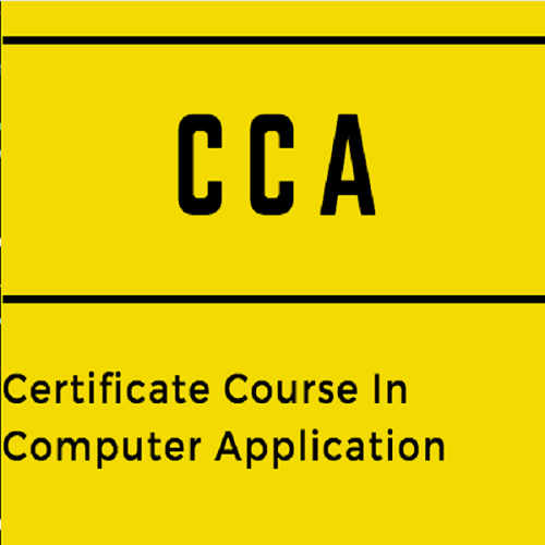 Certificate in Computer Application