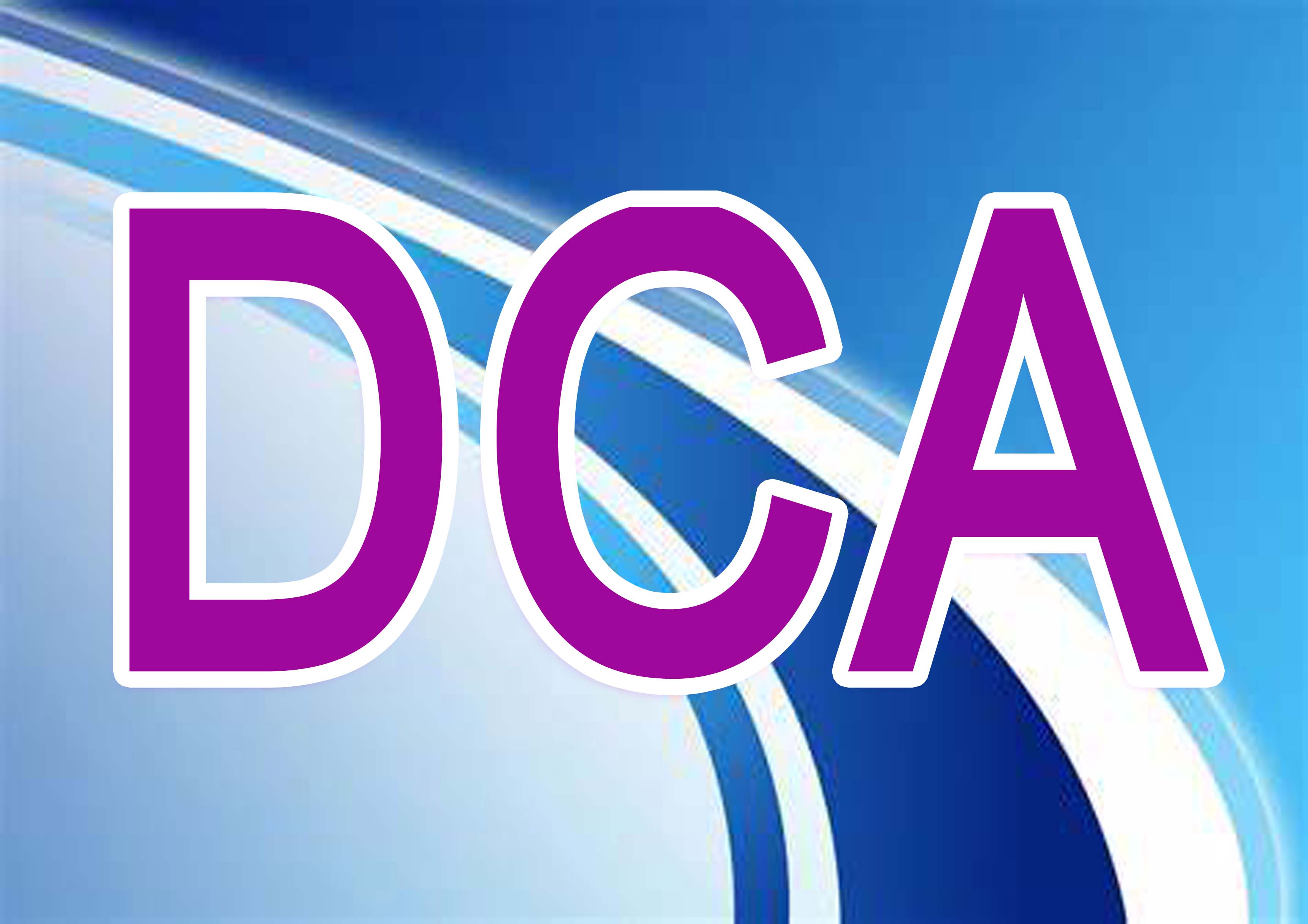 Diploma in Computer Application