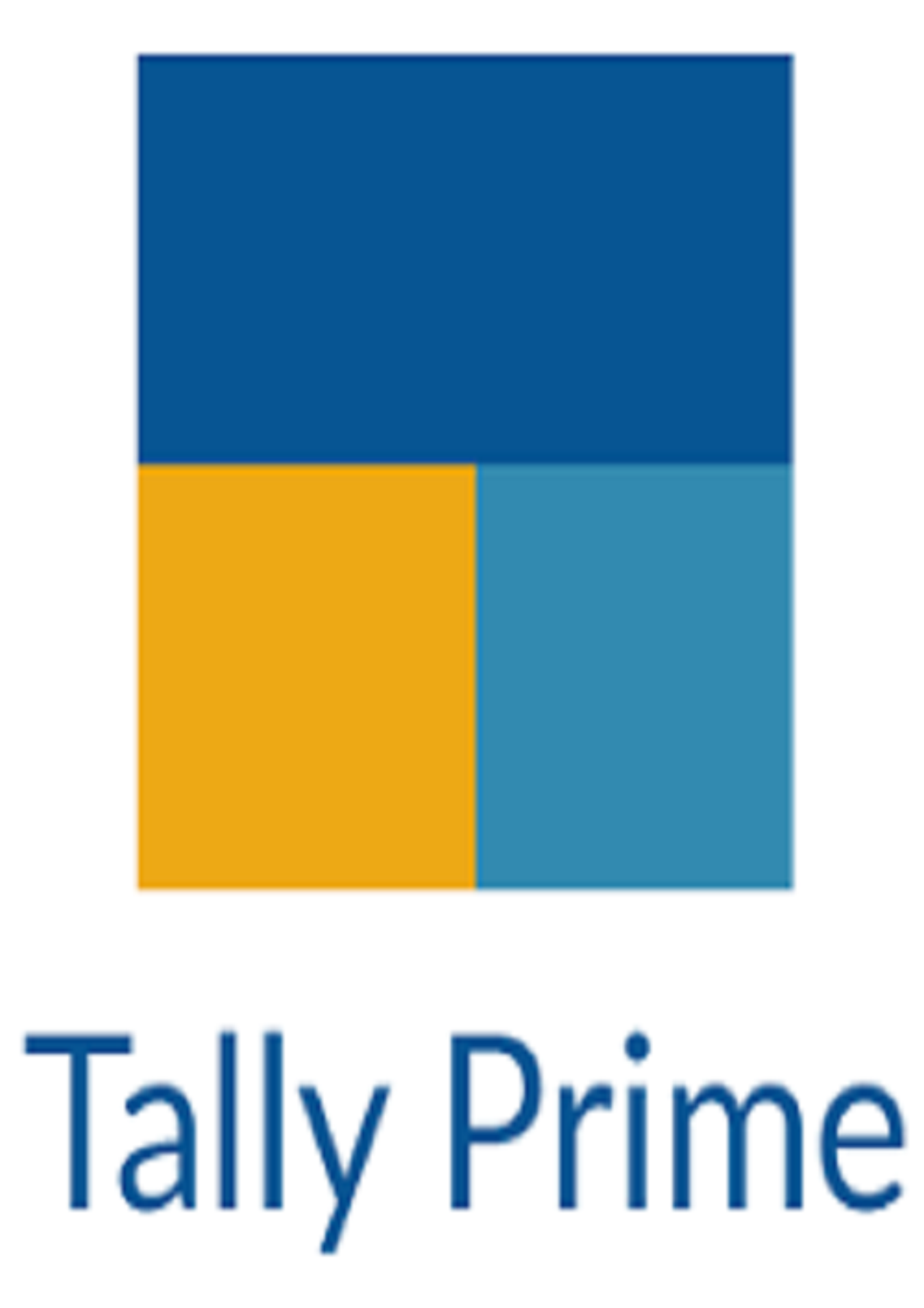 TALLY PRIME WITH GST
